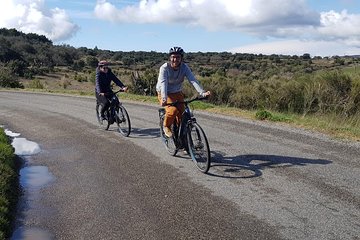Electric bike rental - One day