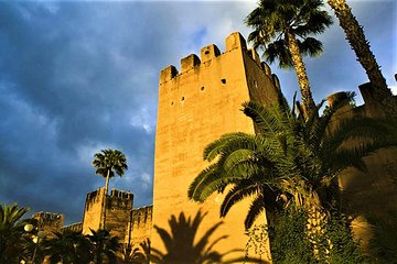 Agadir day trip to Taroudant & Tiout