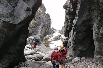 S. Jorge Van Tour - Full Day with Activities