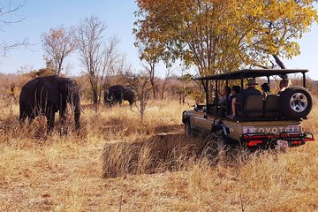 Full Day Hwange Safari