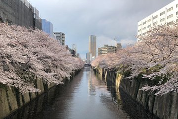 A Perfect Afternoon in Tokyo - Unique Food Tour in Nakameguro