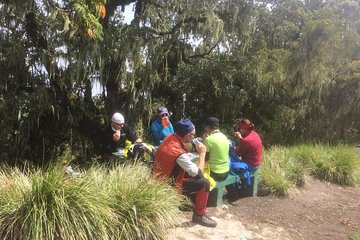 1 Day Marangu Route