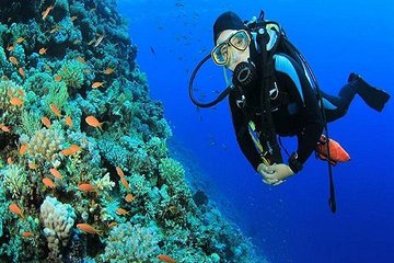 Sharm El-Sheikh: Red Sea Scuba Diving Day Trip