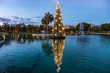 Magic Christmas Tour in Malaga