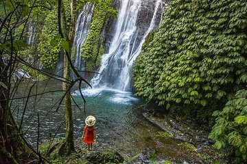 Most Beautiful Waterfall: Banyumala Waterfall