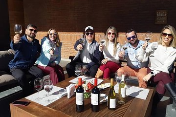 Casablanca Valley Wine tour + Valparaiso (small group tour)