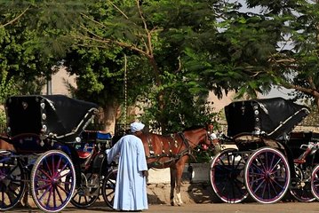 Horse carriage in Aswan