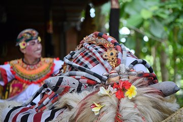 Famous Ubud villlage and Dance Tour with Rice Terrace And Waterfall Visit