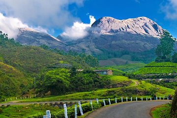 Affordable transfer from Kochi to Munnar