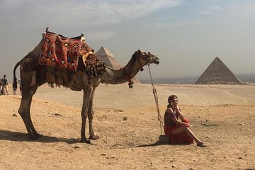 a camel ride in Sunset, with dinner Sound&Light Show at Giza Pyramids