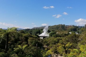 4-Day Auckland to Wellington via Rotorua Tour