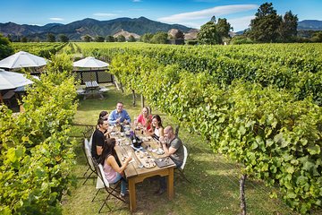 Gourmet Gold Winery Tour Marlborough - Full Day