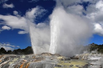 4-Day Wellington to Auckland via Rotorua Tour