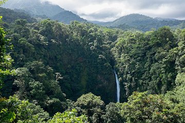 Luxury day-trip off the beaten path to Monteverde Rain Forest