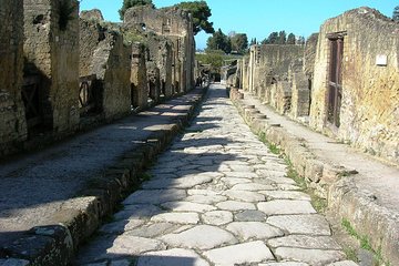 Pompeii Herculaneum Oplontis From Naples