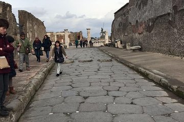 Pompeii Sorrento and Wine Tasting Tour from Naples