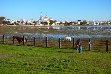 Doñana National Park in 4x4 and El Rocío