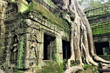 Private Angkor Wat Tour from Siem Reap