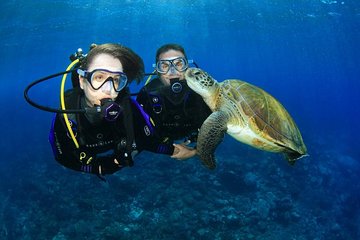 Intro Scuba Diving Experience in Hurghada