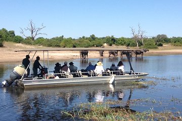 Chobe Full Day Trip