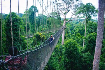 Chauffeur: Kuala Lumpur to Taman Negara Transfer [Car]
