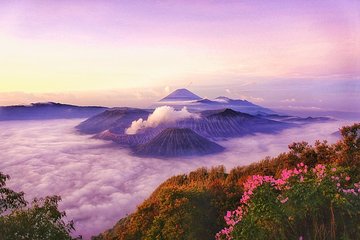 Malang Bromo Ijen Ketapang Harbour tour (2 Days)