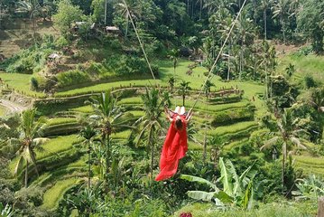 Exclusive Ubud Day Tour