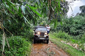 Munnar Mountain Jeep Safari