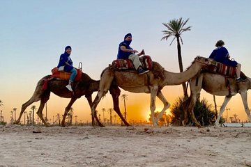 Camel ride in the sunset
