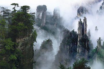 Private Day Trip to Zhangjiajie National Forest Park