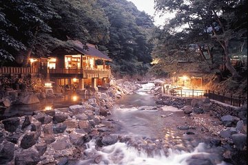 Private Tokyo Tour guide Japanese disco, clubs. Dancing any where translate.