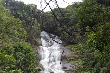 Top Tijuca Forest Private Tour with Botanical Garden