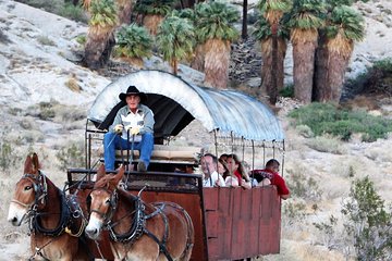 Covered Wagon Adventure & BBQ