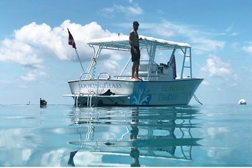 Snorkel, Sandbar & Dolphin Excursion