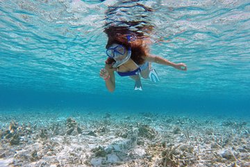 Guided Snorkeling Trip