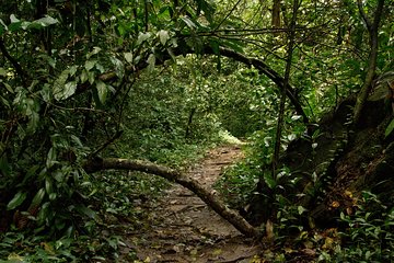 Boti Waterfalls, Koforidua Beads Market & Aburi Garden Tours