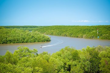 Can Gio mangrove eco tour 1 day private 