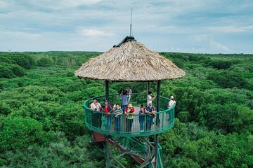Private Can Gio Mangrove Eco Tour – Boat & Wildlife