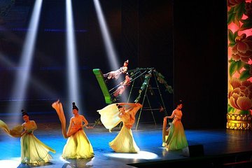  Wonderful Night tour: Acrobatics Show, Peking roast Duck