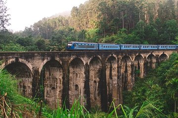 6 Days Private Tour with English Speaking Guide - Explore Sri Lanka