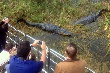 Florida Everglades Airboat Tour and Wild Florida Admission with Optional Lunch