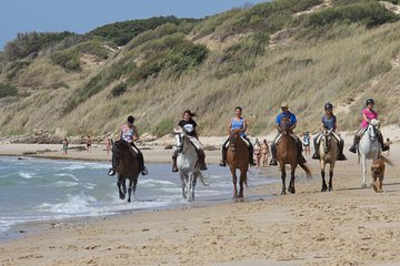 Horseback Riding by the beach or mountain in Tarifa, Spain - 1 to 2 hrs