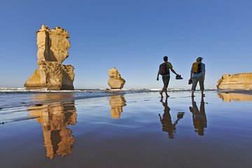 Great Ocean Walk Highlights Hiking Tour - 4 Days