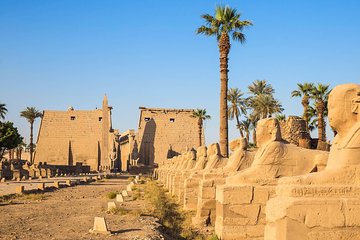 Full Day Tour To East and West Banks of Luxor
