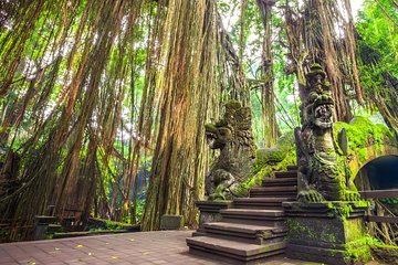 Ubud Holy Spring Temple Blissful Cleansing