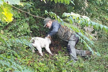 Truffle hunt, Lunch, Horse riding, a top half-day near Florence