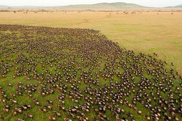  14 Days Kenya And Tanzania Budget Safari