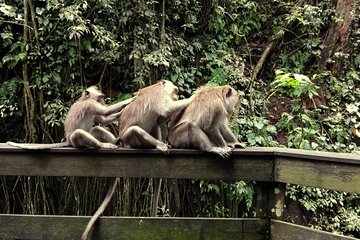 Ubud Surounding Tour