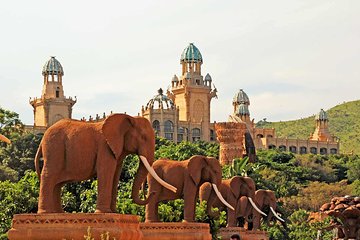 Pilanesberg and Sun City Tour 