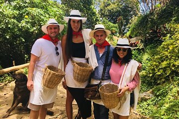 EXPERIENCES COLOMBIA (coffee tour)